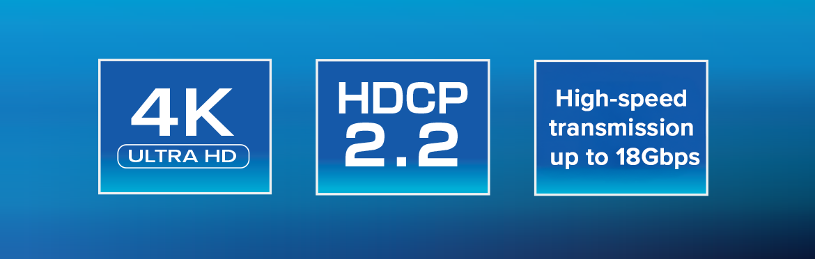 THDSP14D-4K60S2