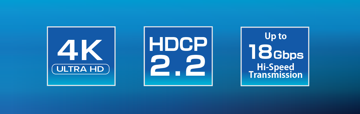 THDSP12X2-4K60S2