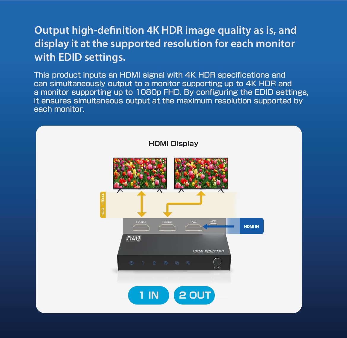 THDSP12X2-4K60S2