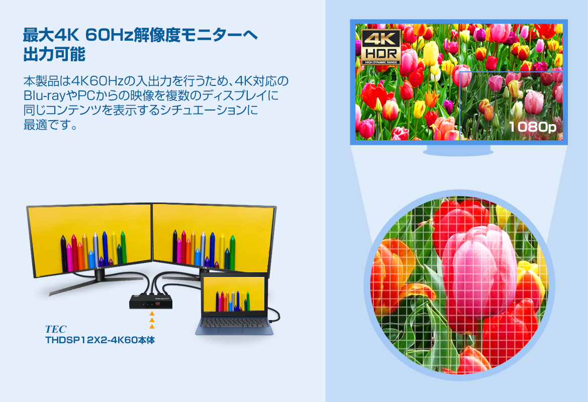 THDSP12X2-4K60S